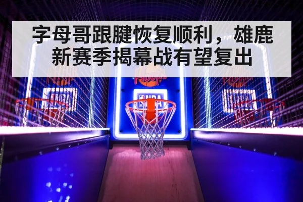 字母哥跟腱恢复顺利,雄鹿新赛季揭幕战有望复出