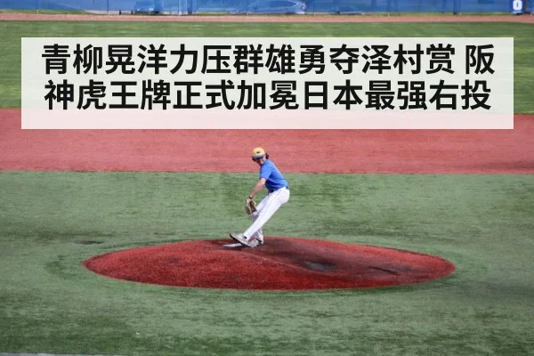 青柳晃洋力压群雄勇夺泽村赏 阪神虎王牌正式加冕日本最强右投